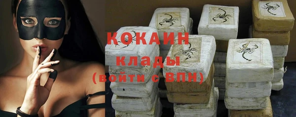 индика Алексеевка