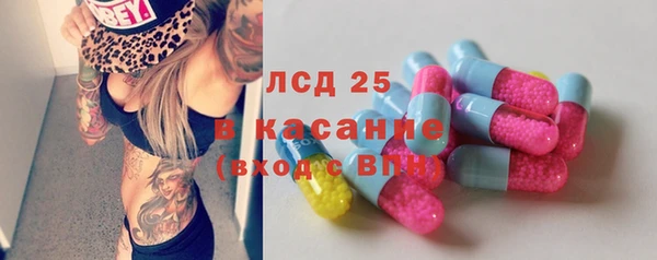 индика Алексеевка