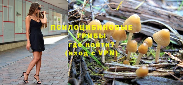 индика Алексеевка
