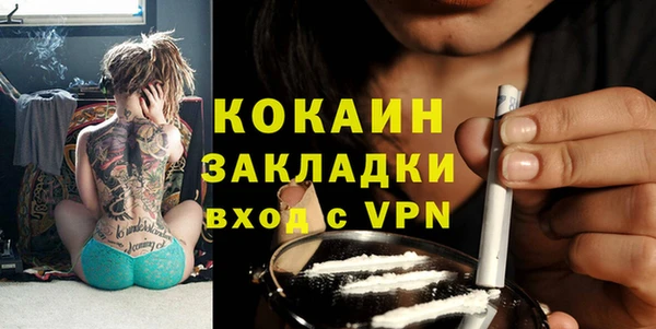 индика Алексеевка
