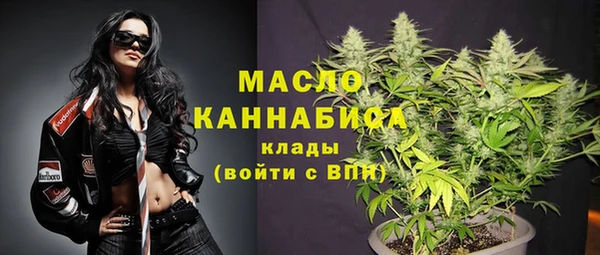 мдпв Вяземский