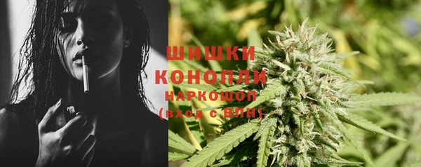 индика Алексеевка
