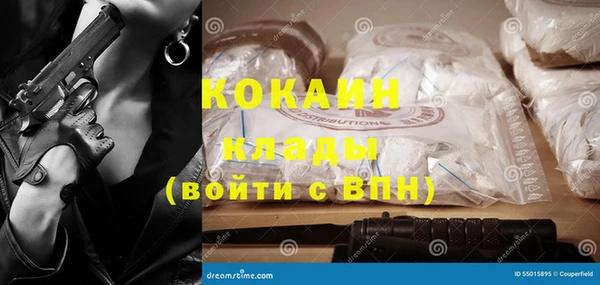 индика Алексеевка